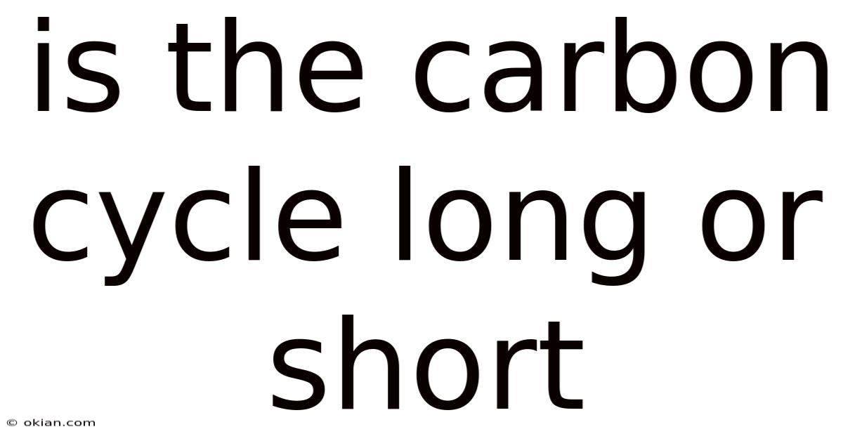 Is The Carbon Cycle Long Or Short