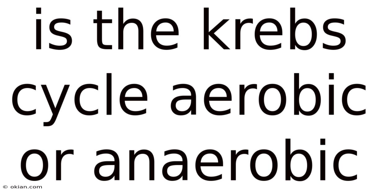 Is The Krebs Cycle Aerobic Or Anaerobic