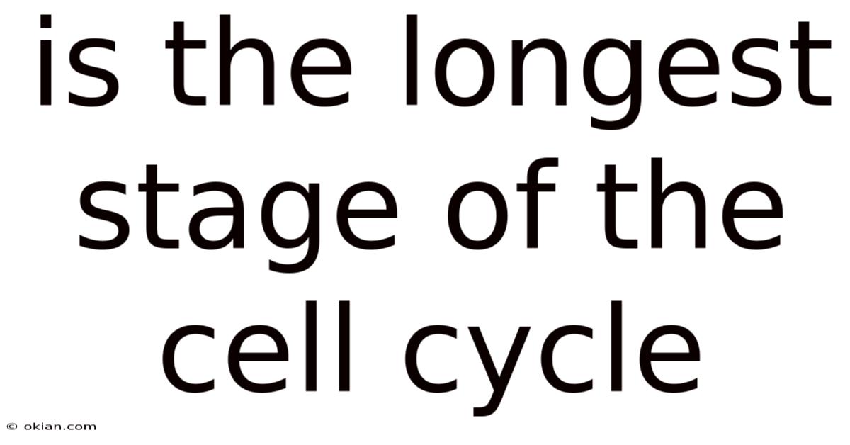 Is The Longest Stage Of The Cell Cycle