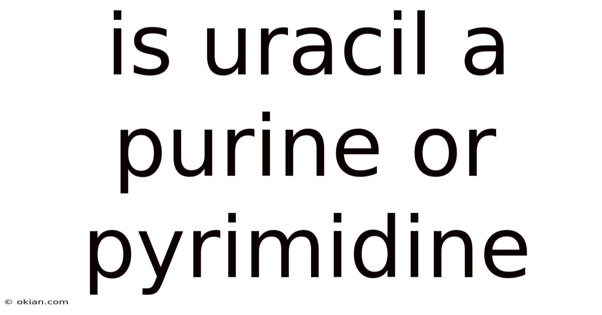 Is Uracil A Purine Or Pyrimidine