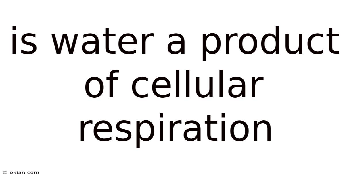 Is Water A Product Of Cellular Respiration