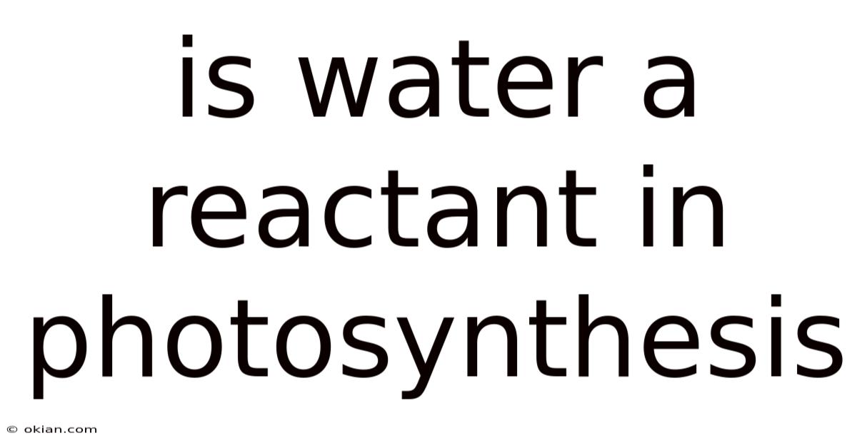 Is Water A Reactant In Photosynthesis