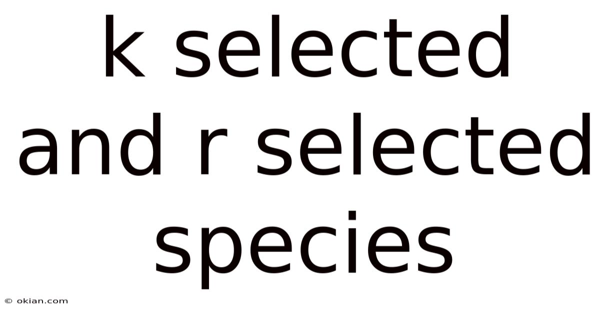 K Selected And R Selected Species