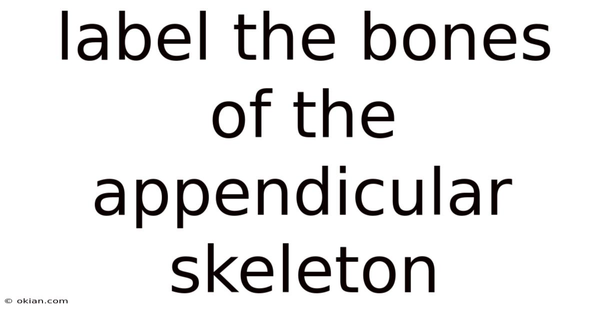 Label The Bones Of The Appendicular Skeleton