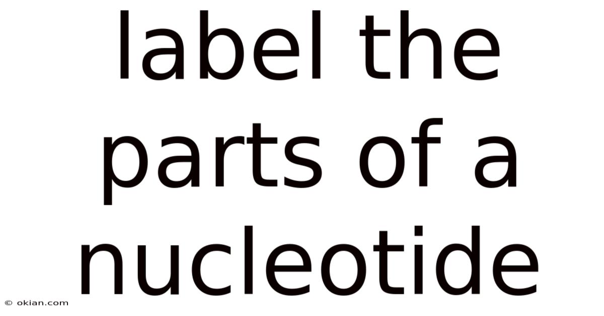 Label The Parts Of A Nucleotide