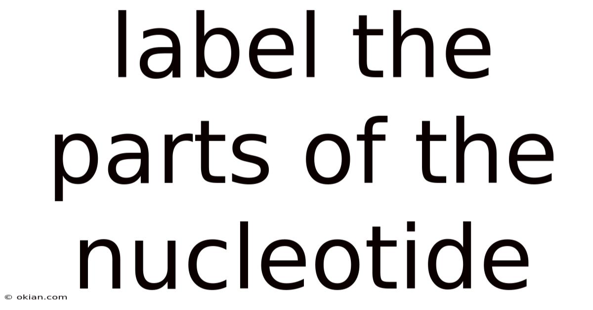 Label The Parts Of The Nucleotide