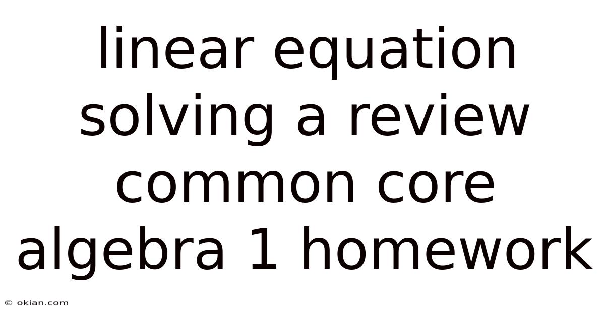 Linear Equation Solving A Review Common Core Algebra 1 Homework