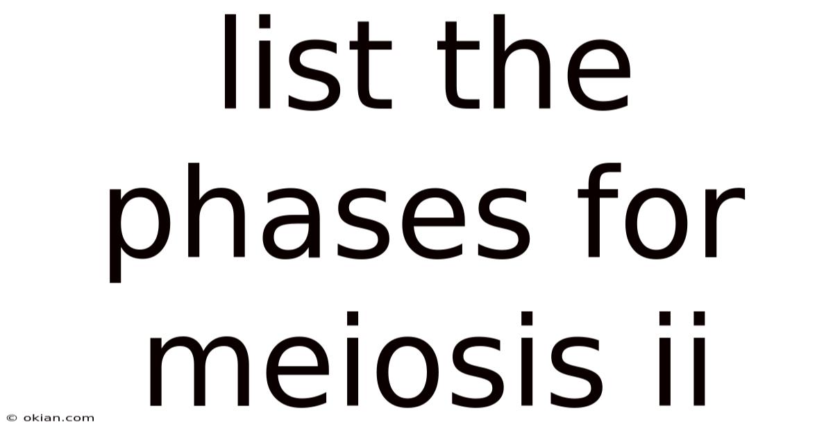 List The Phases For Meiosis Ii