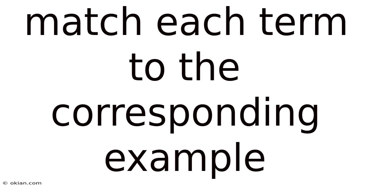 Match Each Term To The Corresponding Example