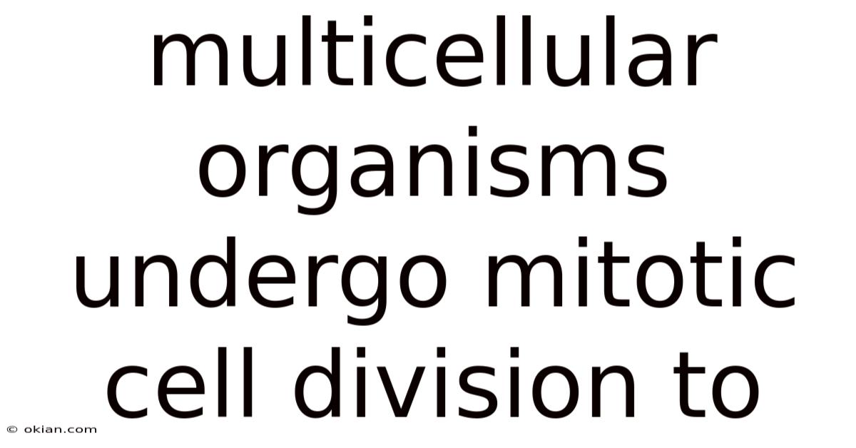 Multicellular Organisms Undergo Mitotic Cell Division To