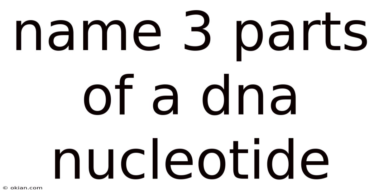 Name 3 Parts Of A Dna Nucleotide
