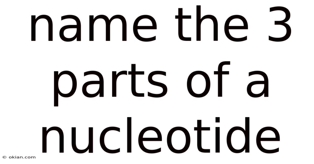 Name The 3 Parts Of A Nucleotide