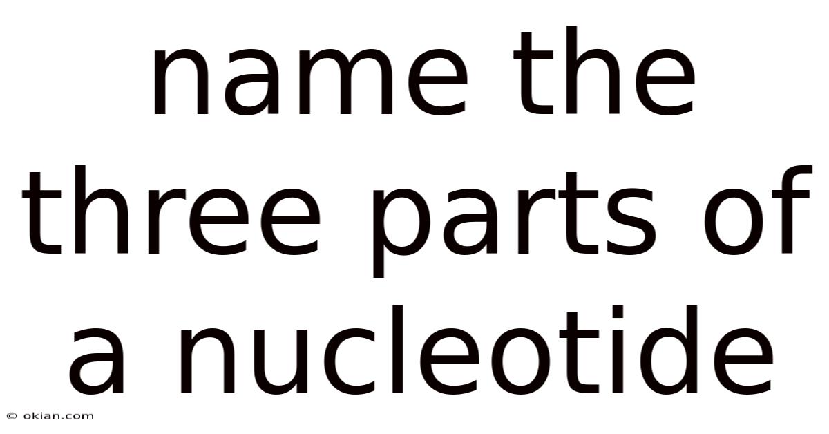 Name The Three Parts Of A Nucleotide