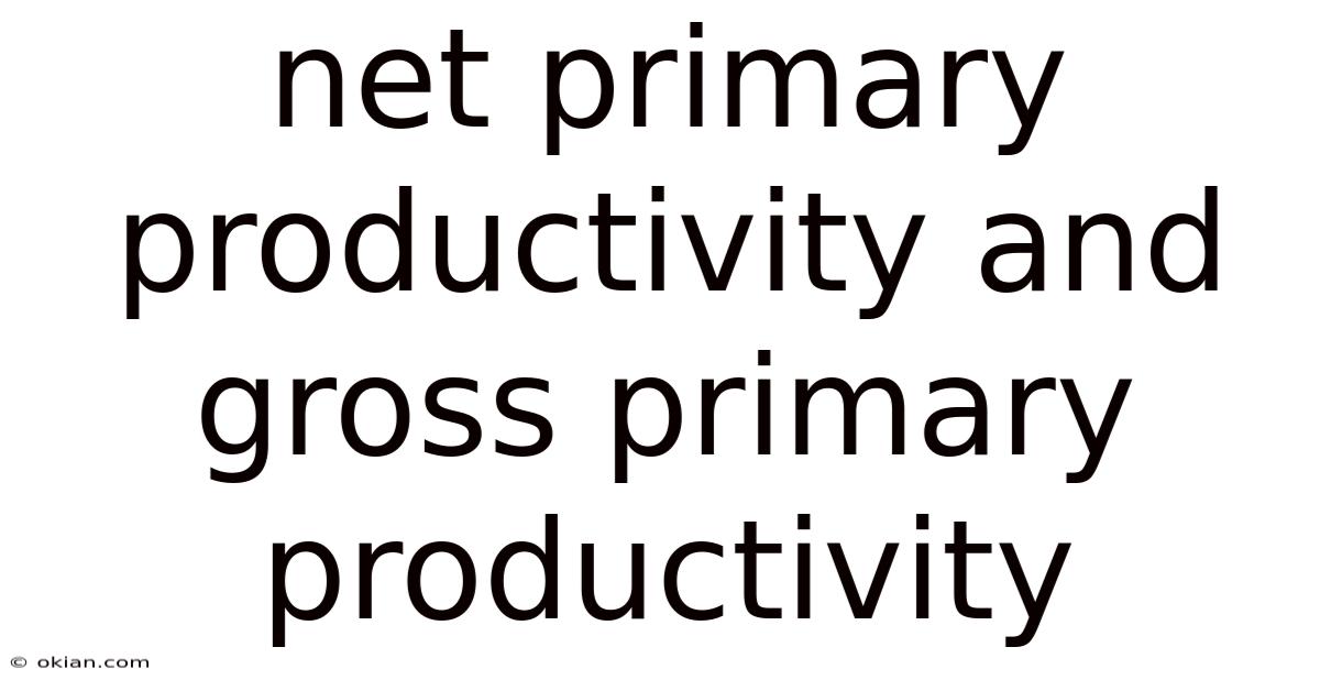 Net Primary Productivity And Gross Primary Productivity
