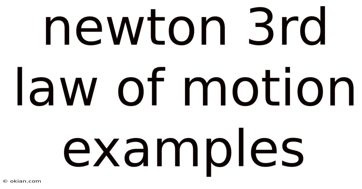 Newton 3rd Law Of Motion Examples