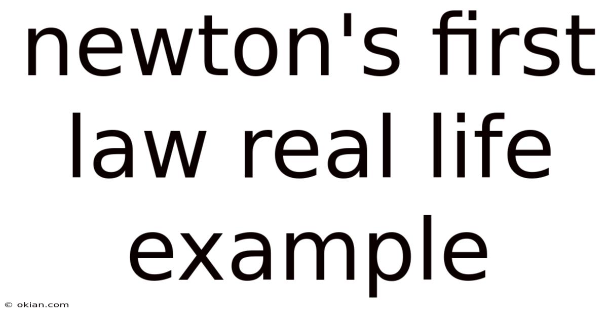 Newton's First Law Real Life Example