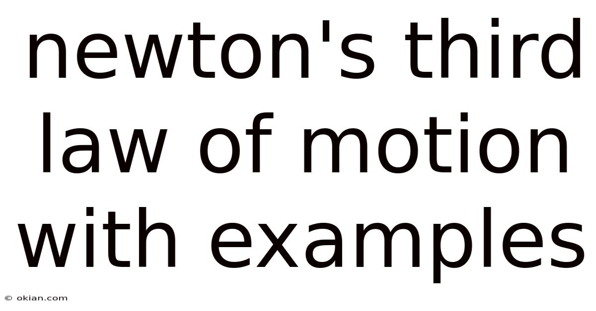 Newton's Third Law Of Motion With Examples