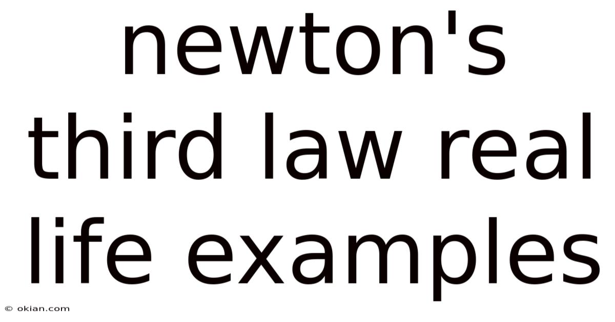 Newton's Third Law Real Life Examples