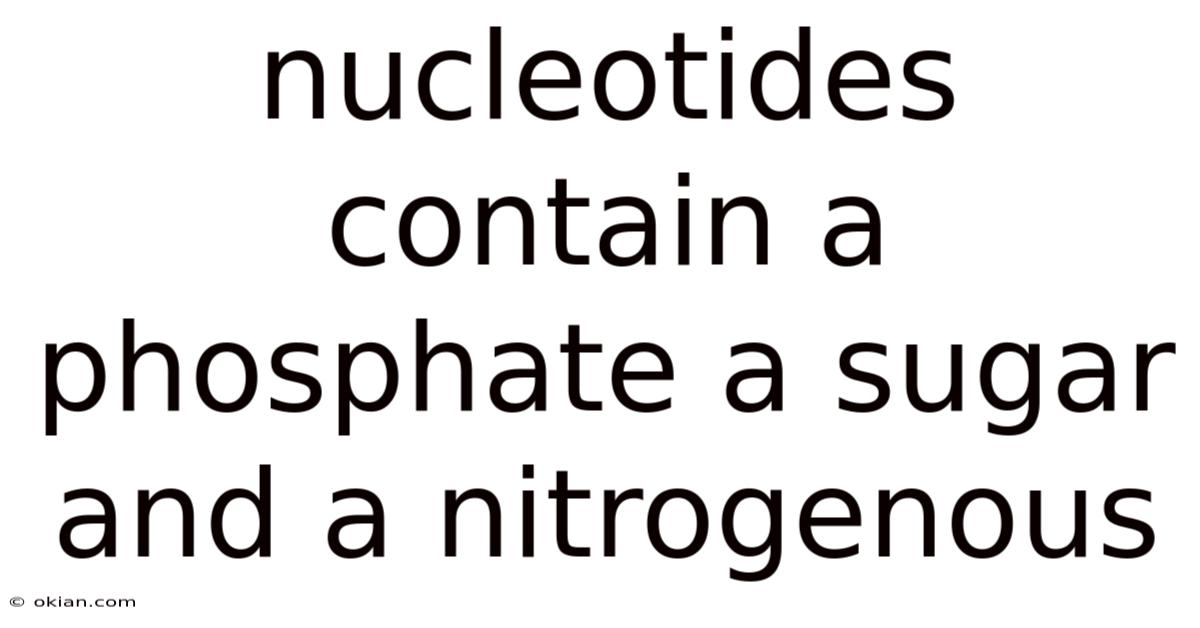 Nucleotides Contain A Phosphate A Sugar And A Nitrogenous