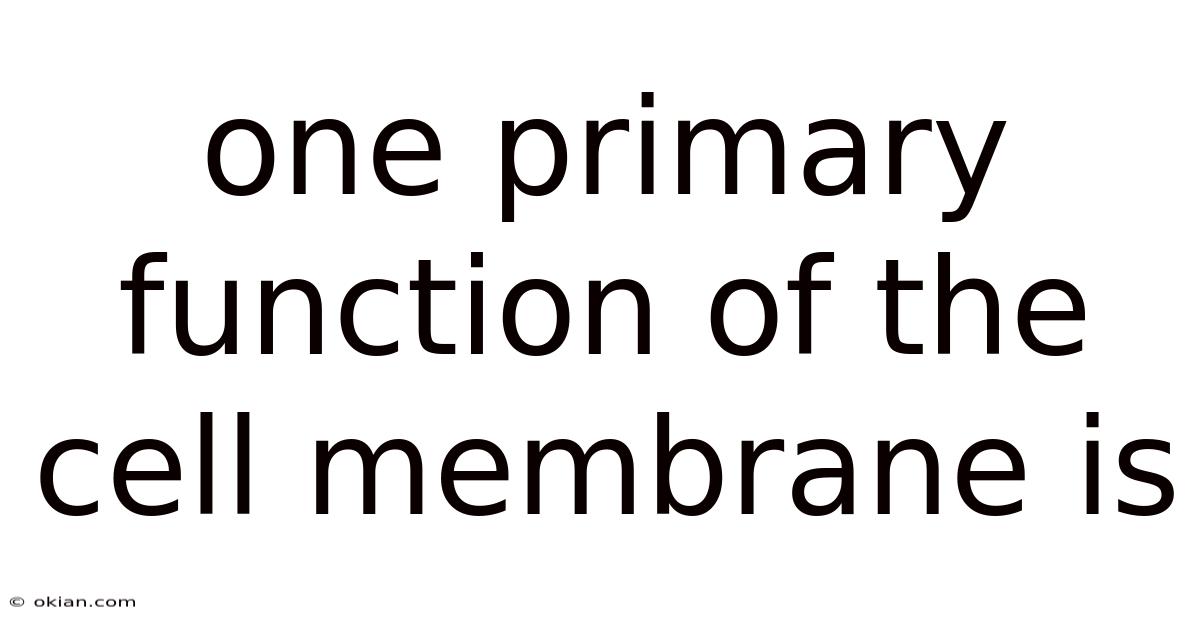 One Primary Function Of The Cell Membrane Is
