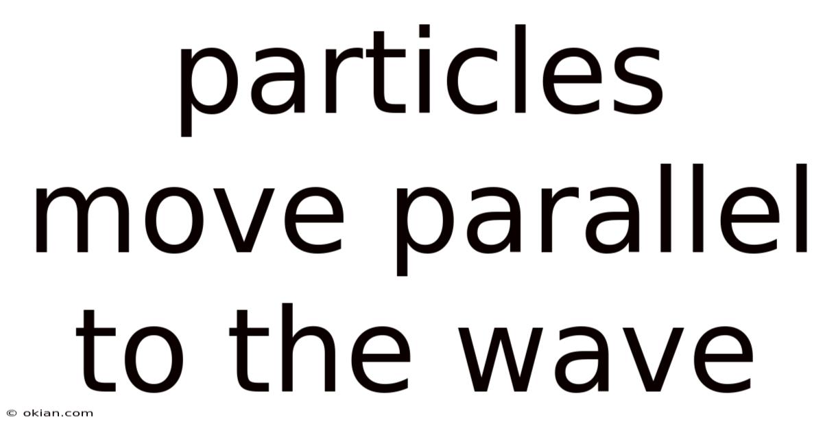 Particles Move Parallel To The Wave