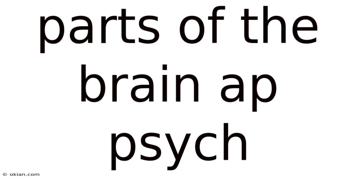 Parts Of The Brain Ap Psych