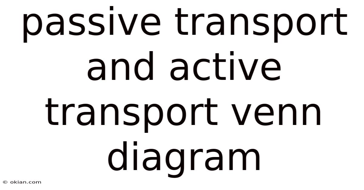 Passive Transport And Active Transport Venn Diagram