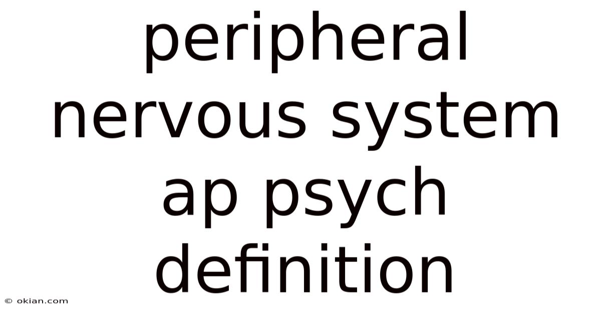 Peripheral Nervous System Ap Psych Definition