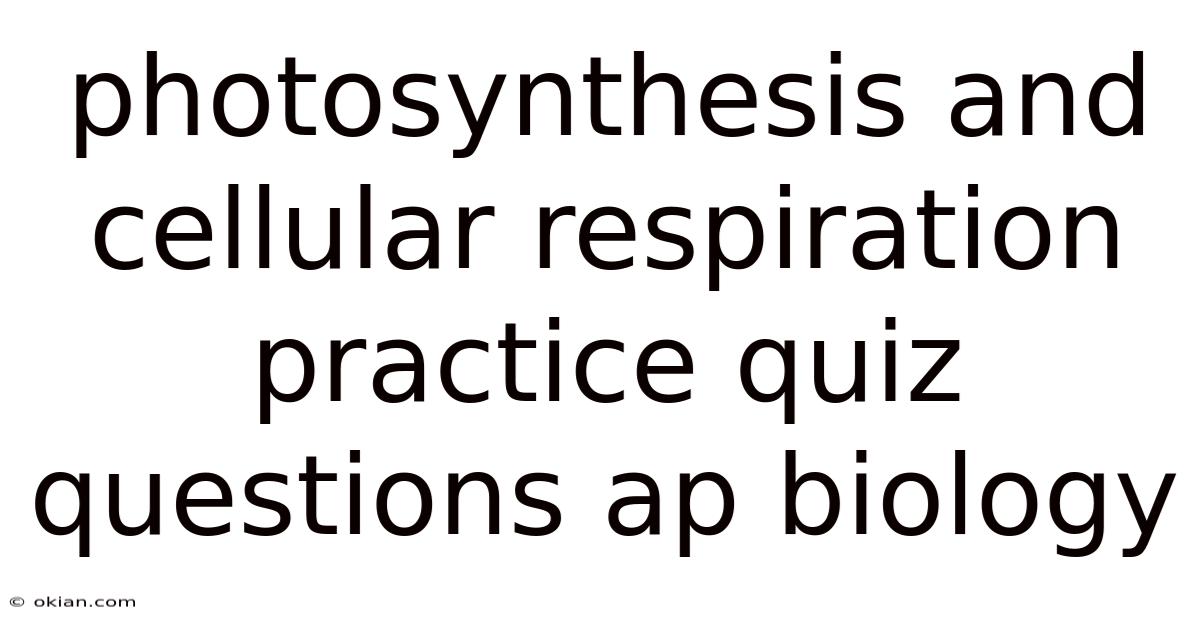 Photosynthesis And Cellular Respiration Practice Quiz Questions Ap Biology