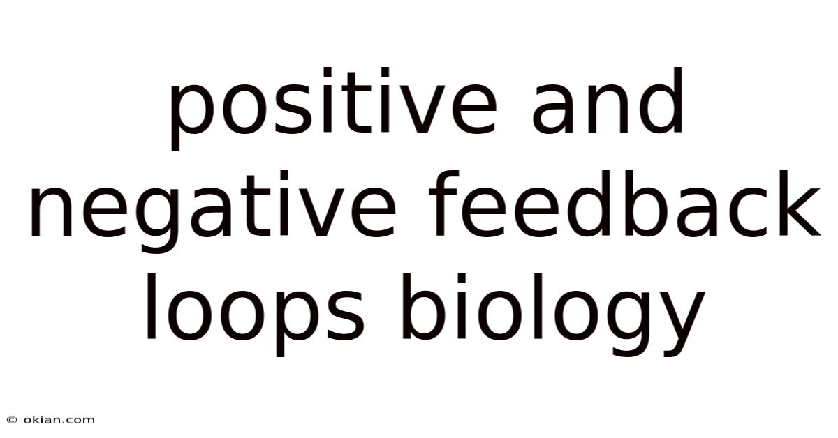 Positive And Negative Feedback Loops Biology