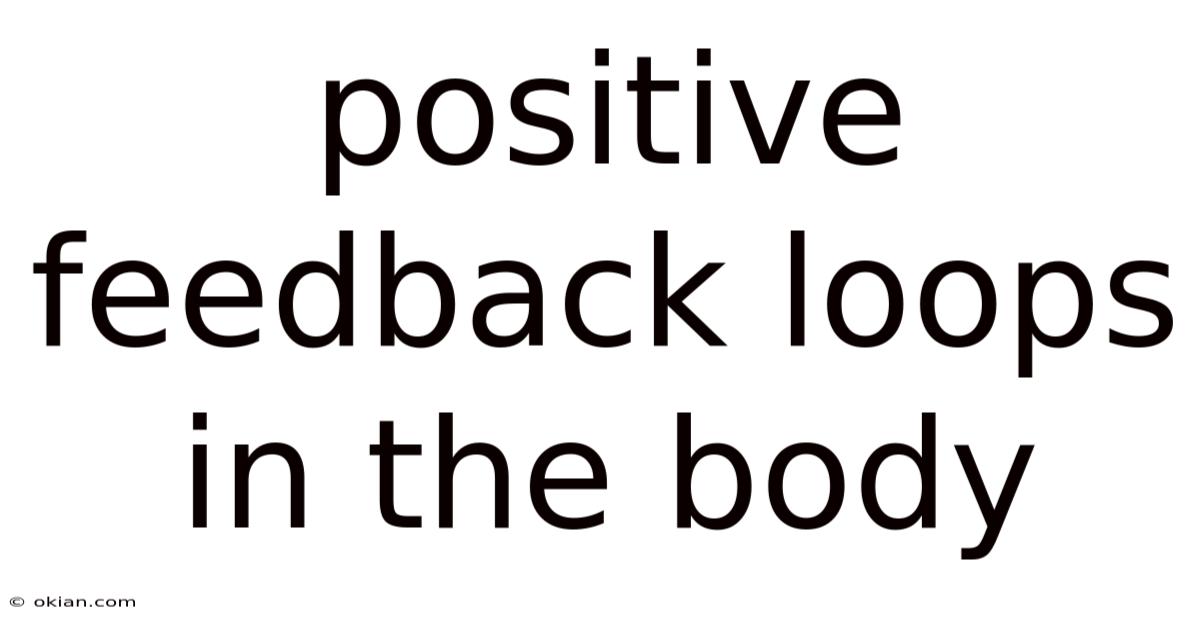 Positive Feedback Loops In The Body