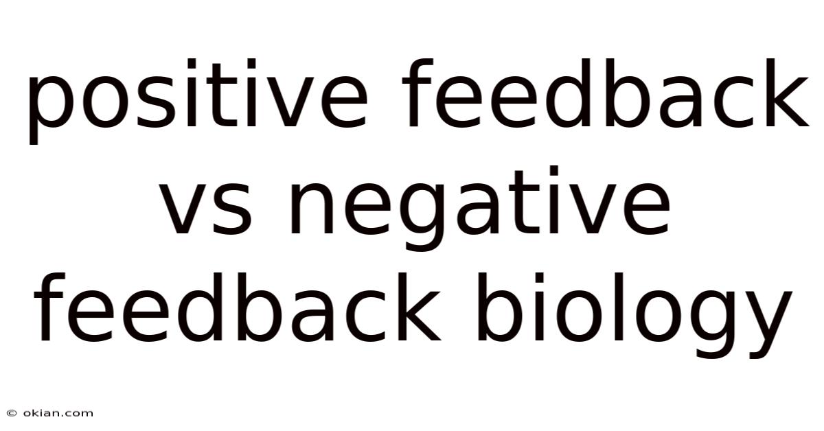 Positive Feedback Vs Negative Feedback Biology