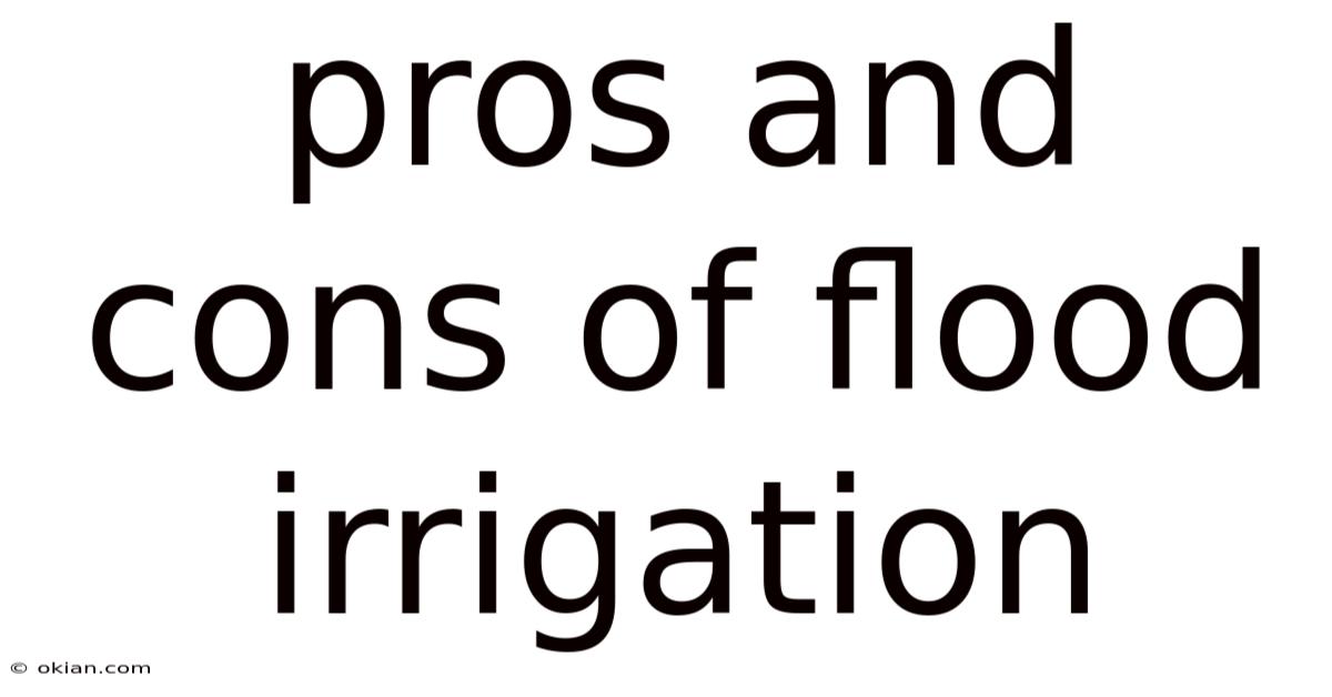 Pros And Cons Of Flood Irrigation