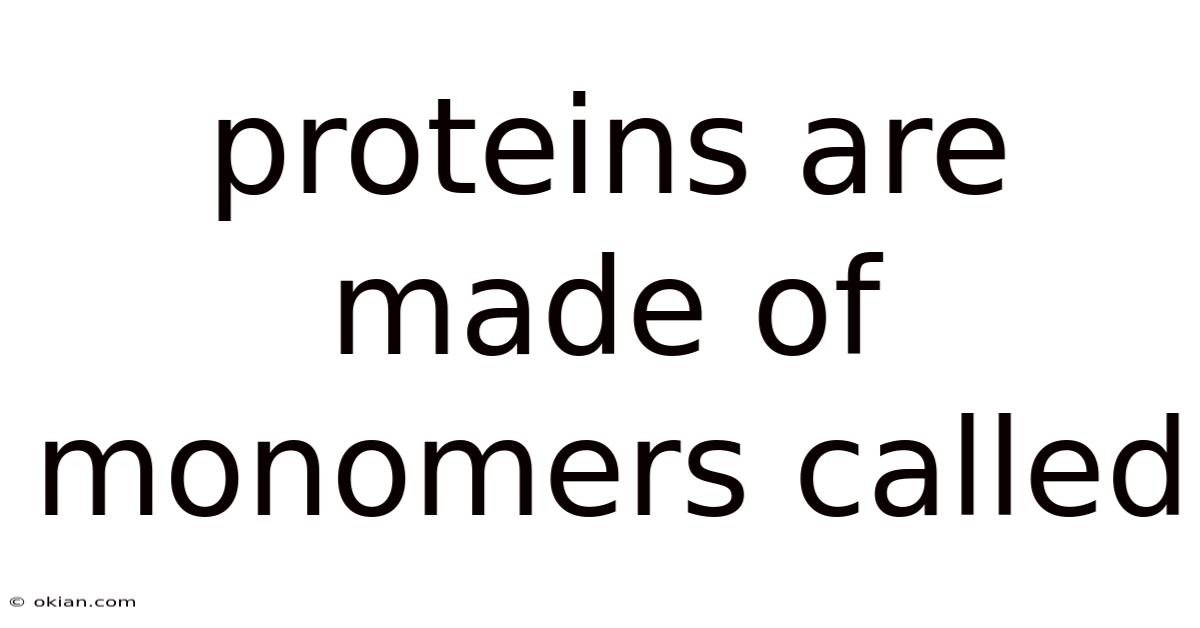 Proteins Are Made Of Monomers Called