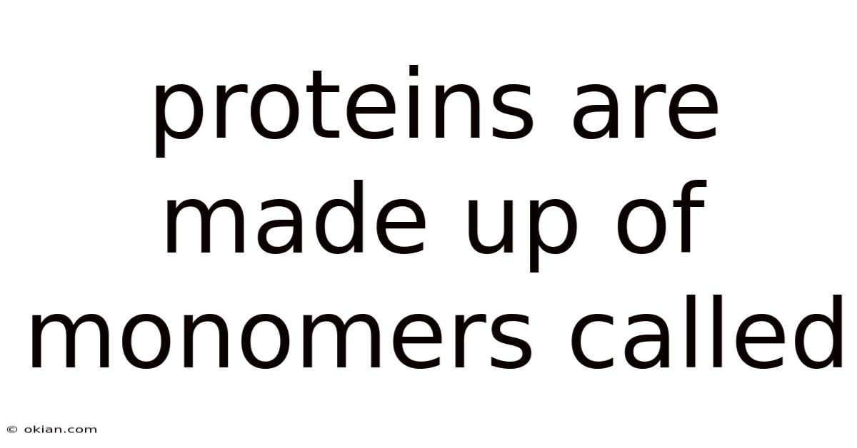 Proteins Are Made Up Of Monomers Called