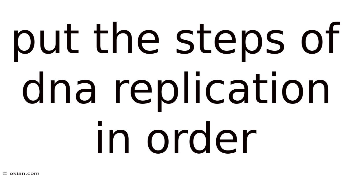 Put The Steps Of Dna Replication In Order