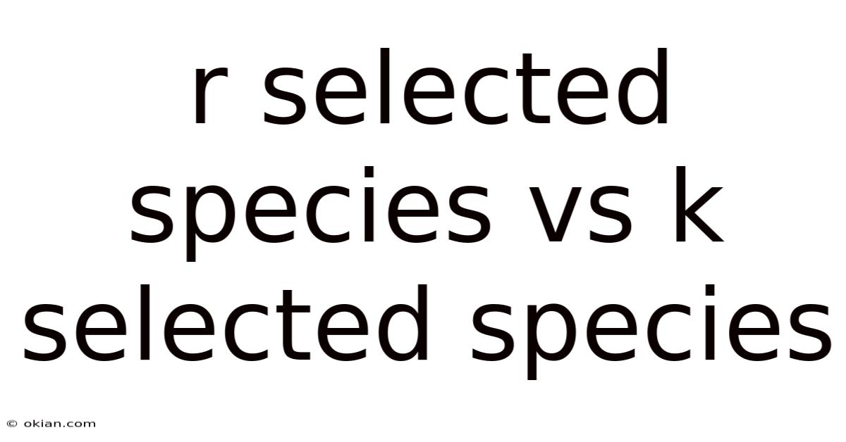 R Selected Species Vs K Selected Species