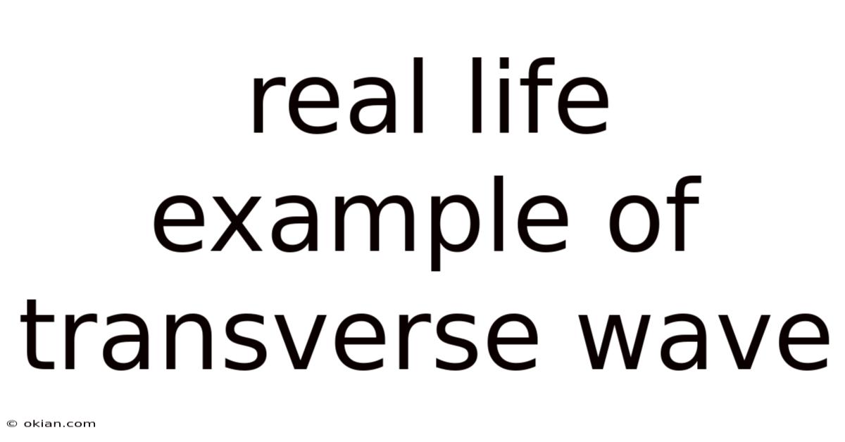 Real Life Example Of Transverse Wave