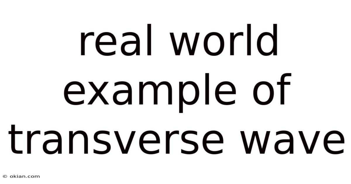 Real World Example Of Transverse Wave