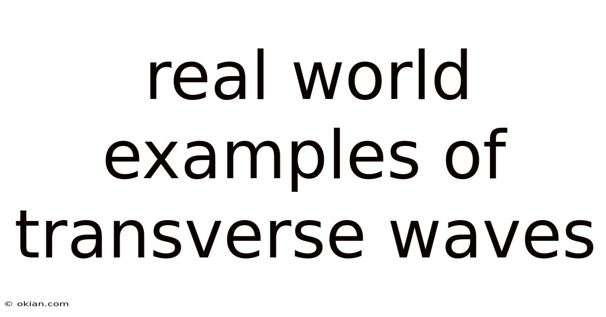 Real World Examples Of Transverse Waves