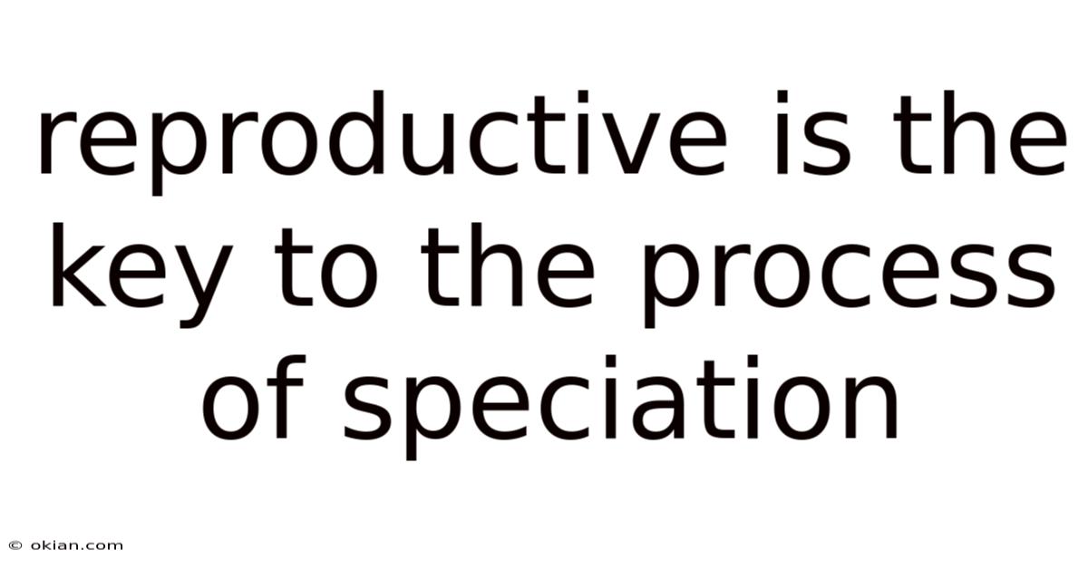 Reproductive Is The Key To The Process Of Speciation