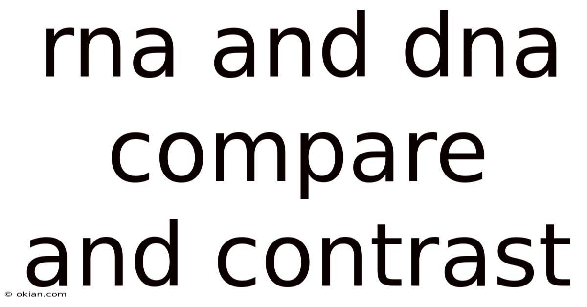 Rna And Dna Compare And Contrast