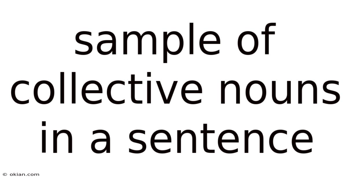 Sample Of Collective Nouns In A Sentence