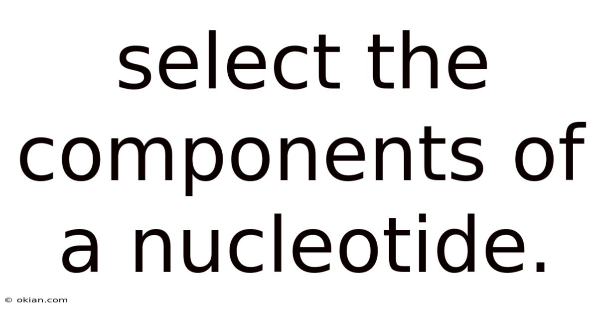 Select The Components Of A Nucleotide.