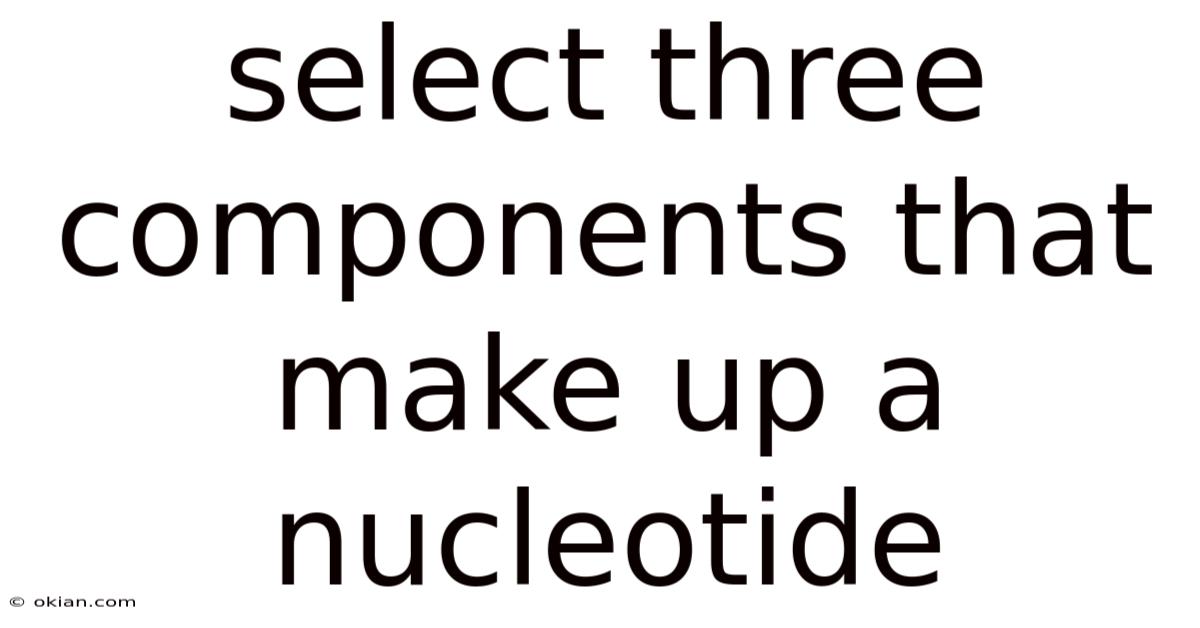Select Three Components That Make Up A Nucleotide