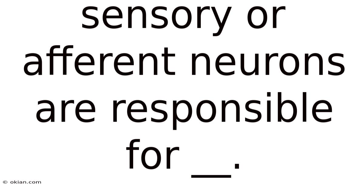 Sensory Or Afferent Neurons Are Responsible For __.