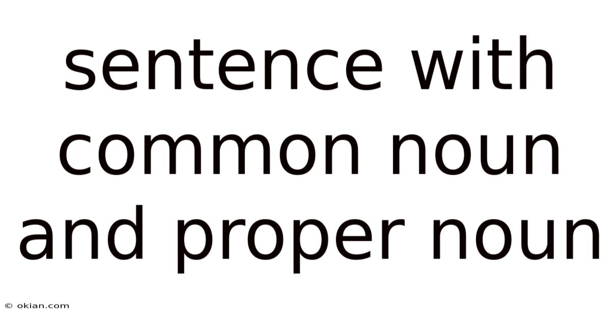 Sentence With Common Noun And Proper Noun