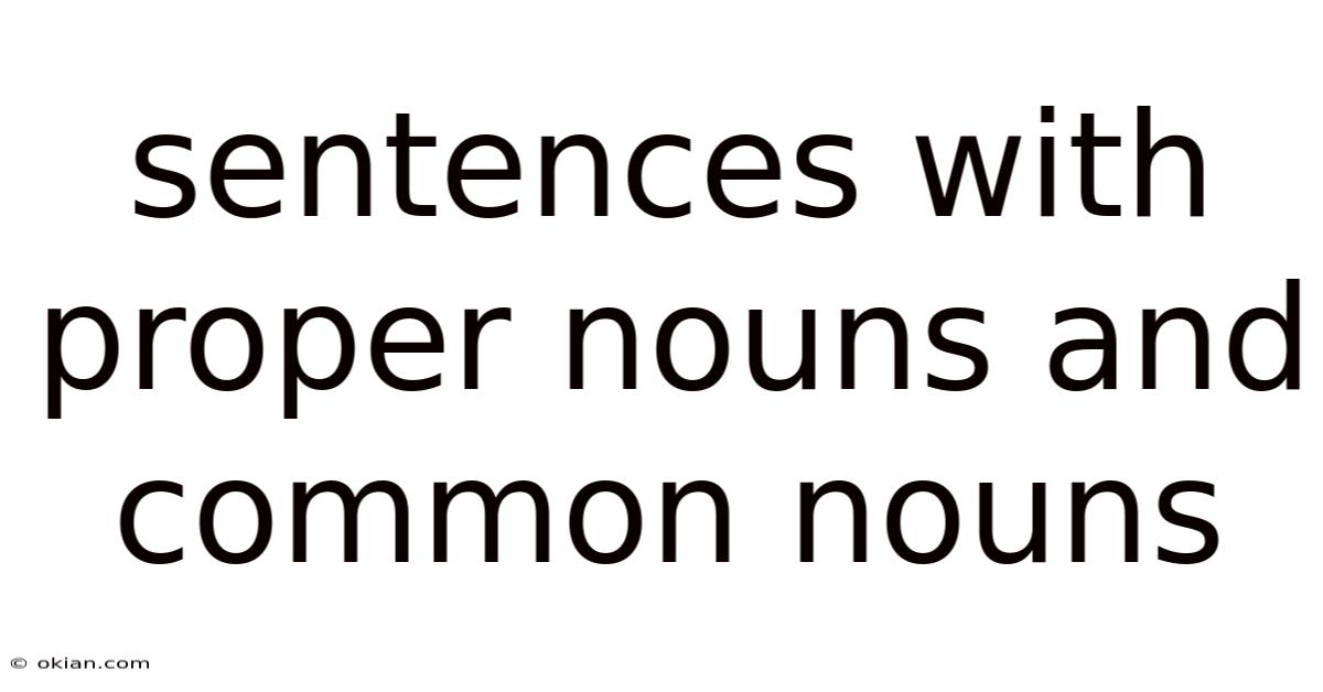 Sentences With Proper Nouns And Common Nouns