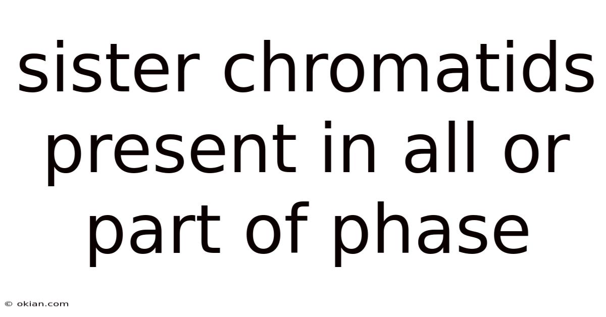 Sister Chromatids Present In All Or Part Of Phase
