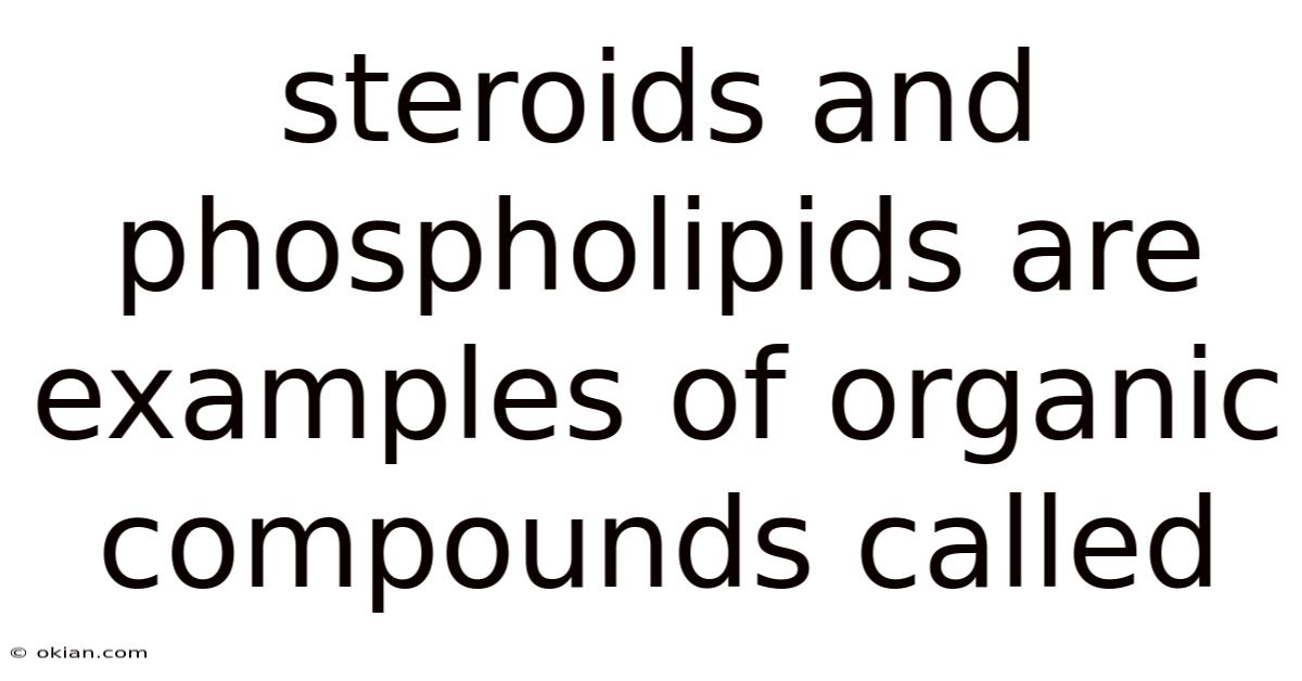 Steroids And Phospholipids Are Examples Of Organic Compounds Called